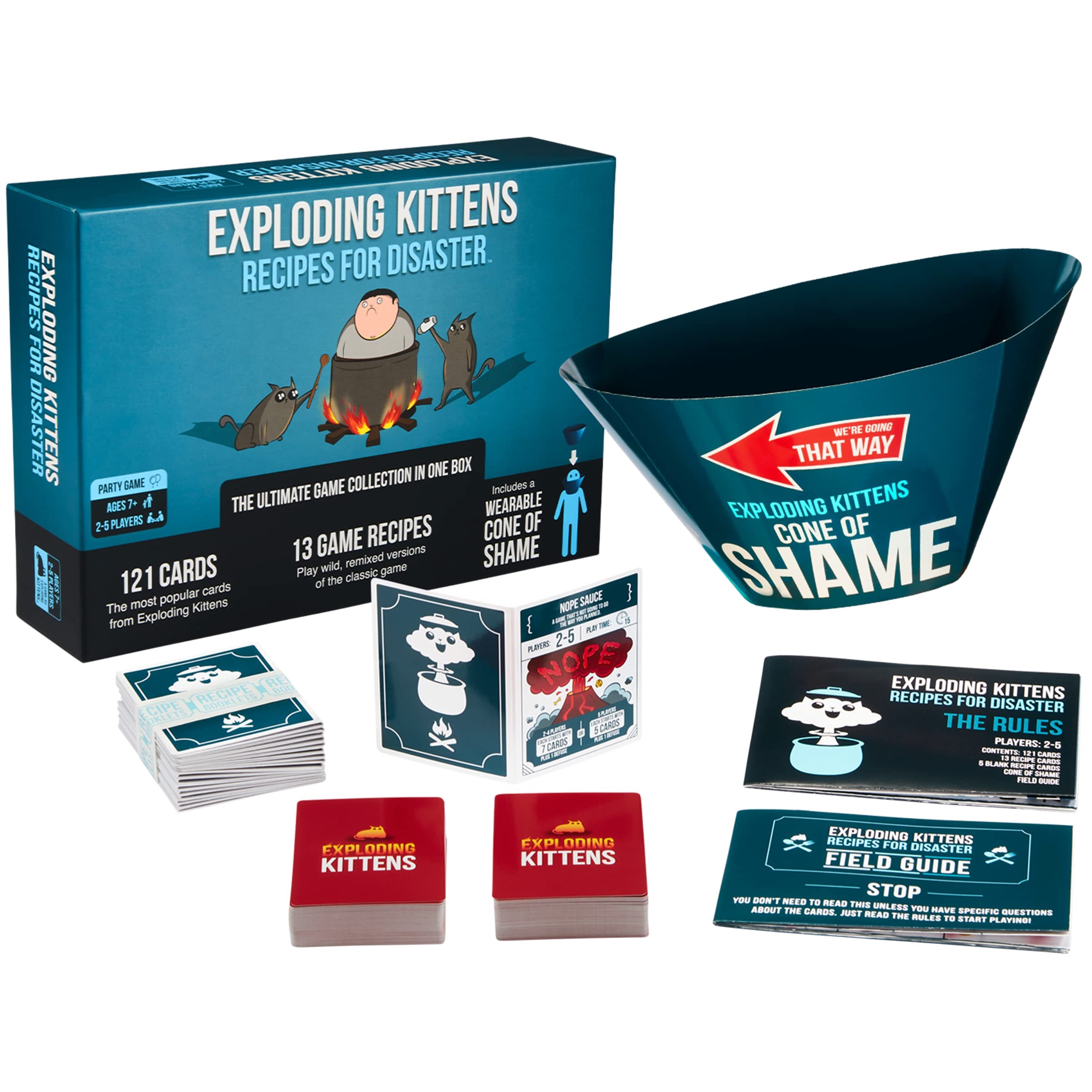 Exploding Kittens: Recipes for Disaster